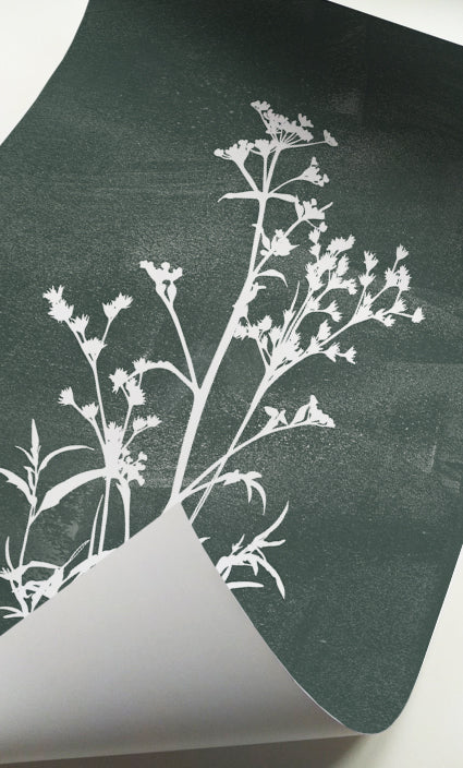 Botanical gallery wall featuring minimalist floral silhouettes for modern living spaces