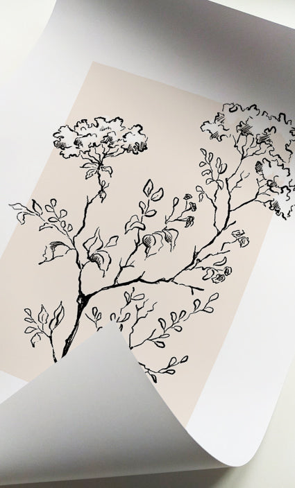 Scandinavian botanical wall art featuring elegant wildflowers