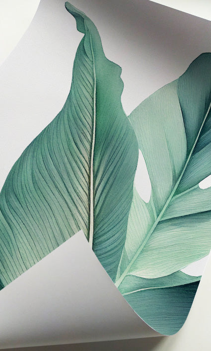 Organic Modern botanical prints showcasing lush tropical leaves on white backgrounds