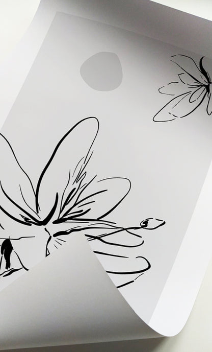 Scandinavian botanical wall art featuring elegant flower line drawings