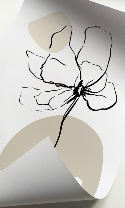 Contemporary floral line drawings with neutral abstract backgrounds