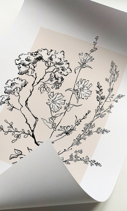 Modern botanical prints with hand-drawn wildflowers