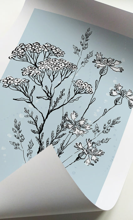 Minimalist wildflower prints on soft blue backgrounds