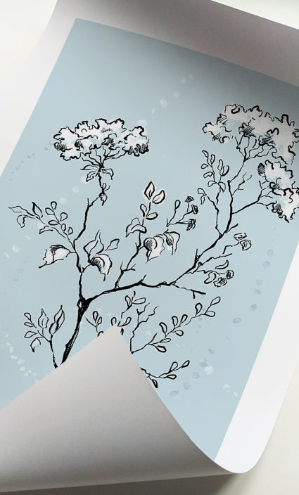 Minimalist botanical artwork featuring hand-drawn wildflowers