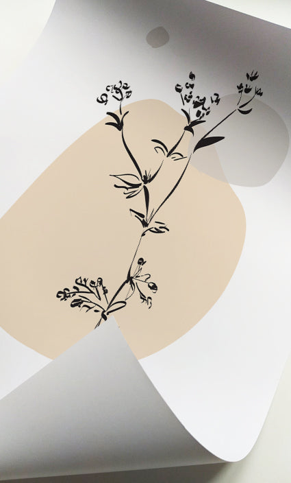 Elegant botanical gallery wall featuring wildflower illustrations for contemporary living spaces