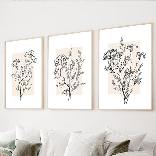 Neutral botanical wall art set of 3 with wildflower line drawings