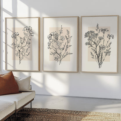 Minimalist botanical illustrations on neutral backgrounds