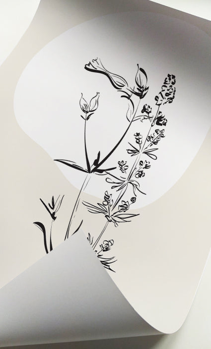 Contemporary botanical artwork with delicate floral illustrations and neutral abstract backgrounds
