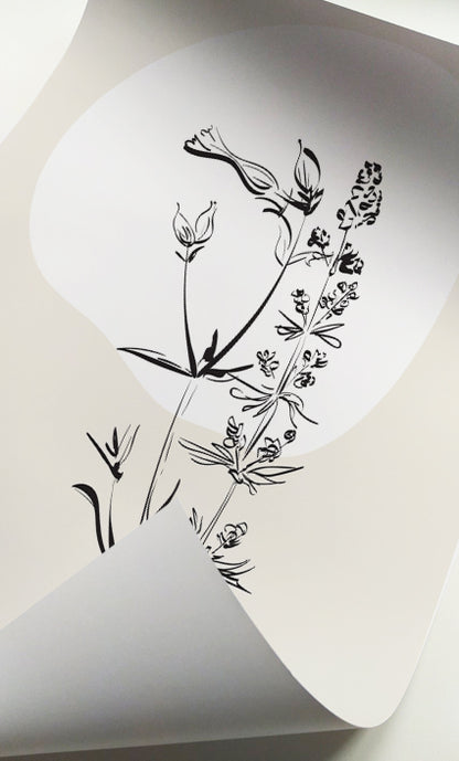 Contemporary botanical artwork with delicate floral illustrations and neutral abstract backgrounds