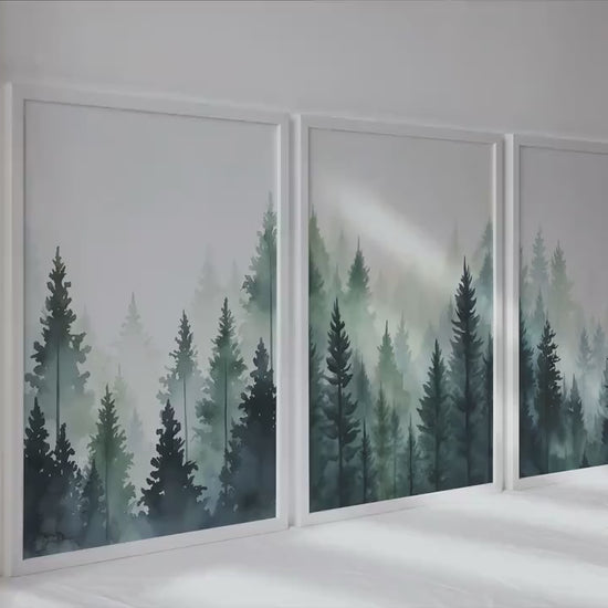 Blue green foggy pine trees