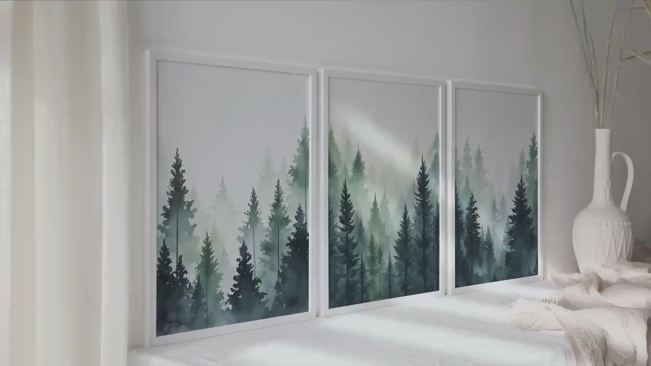 Blue green foggy pine trees