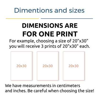 Wall art print size guide showing three 20x30 inch prints with sizing notes.