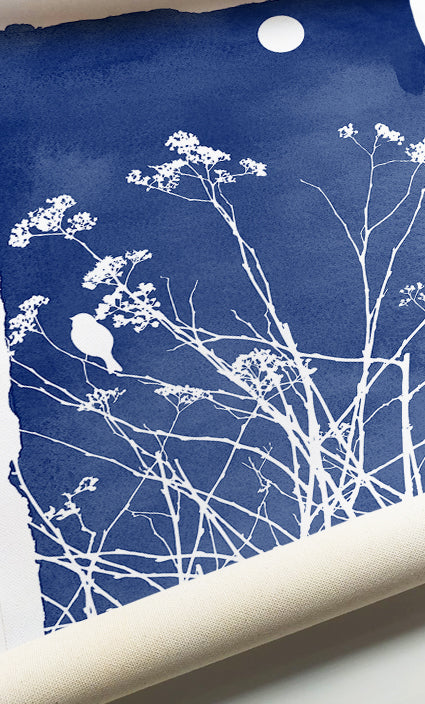 Navy blue botanical wall décor featuring meadow flowers, birds, and minimalist nature illustrations